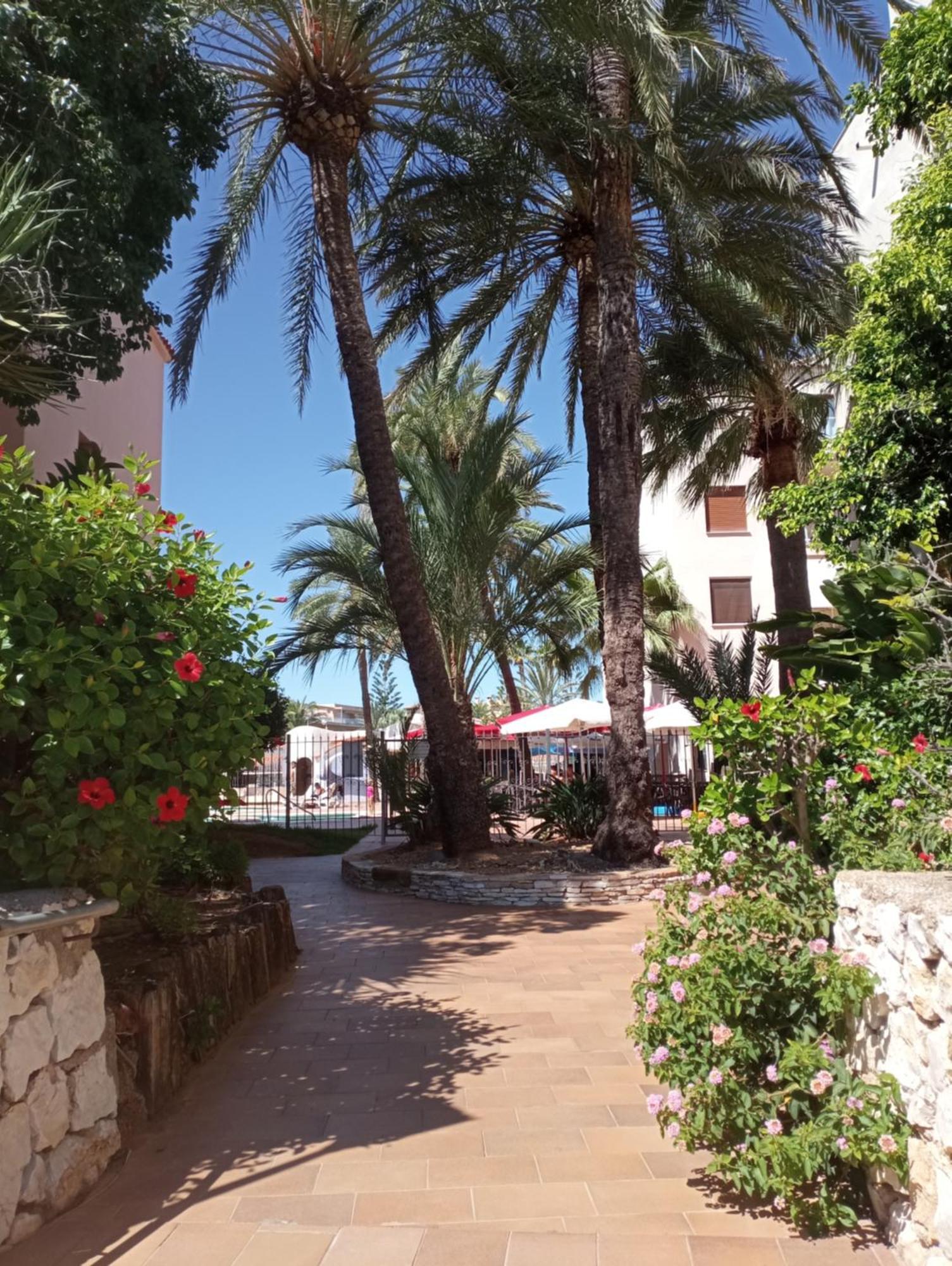 Apartamento Parchis Con Piscina Denia Bagian luar foto